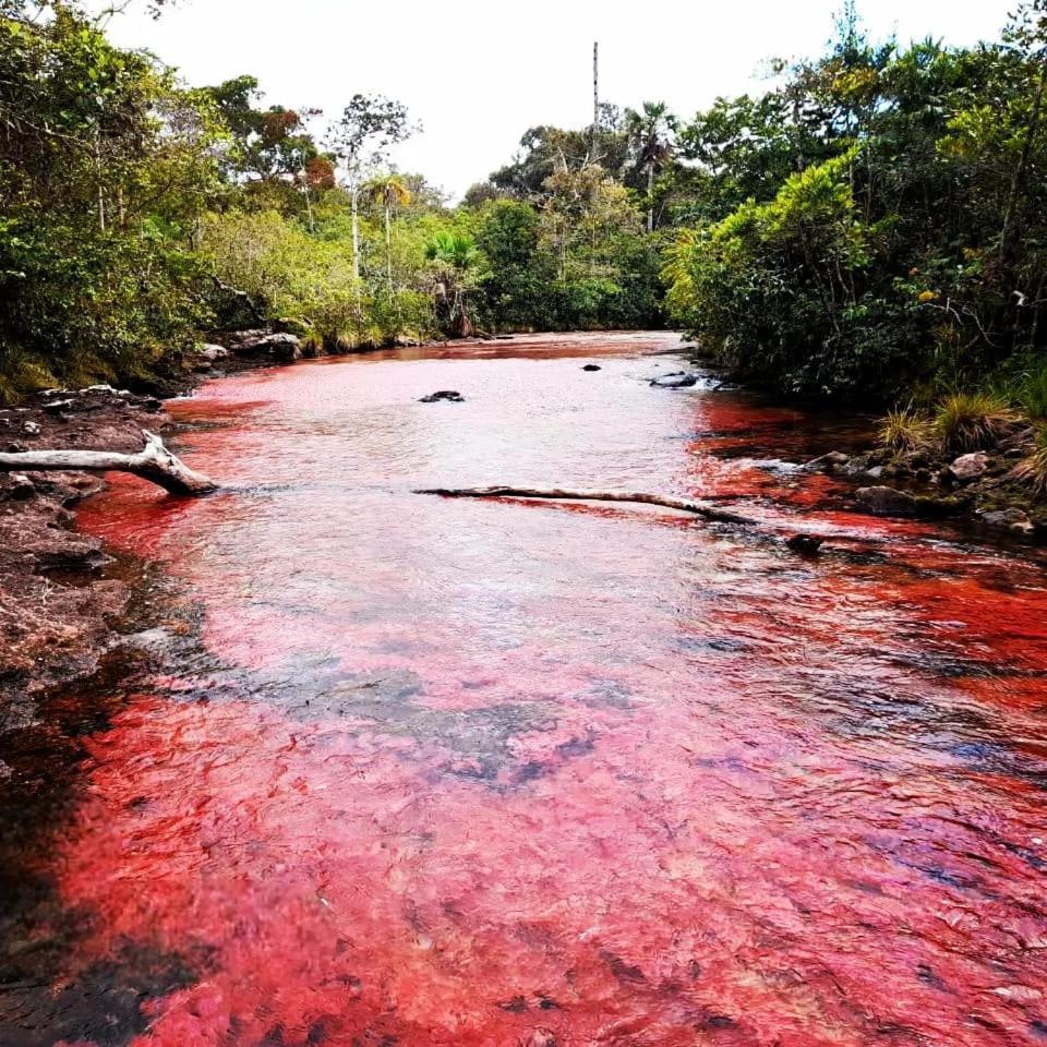 Hotel Ecologico Makalombia La Macarena Esterno foto