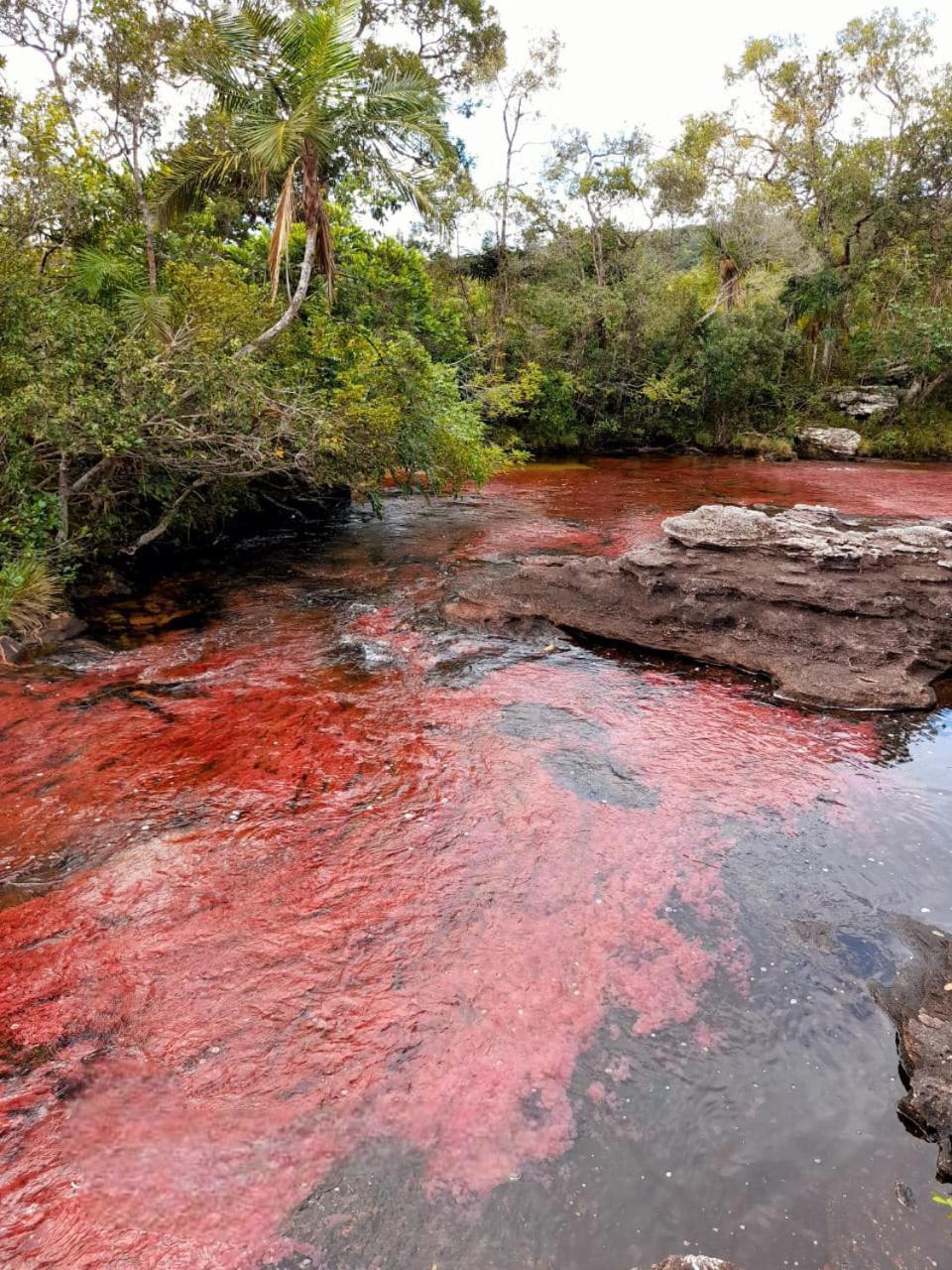 Hotel Ecologico Makalombia La Macarena Esterno foto