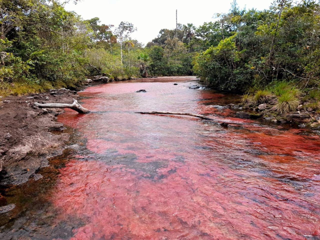 Hotel Ecologico Makalombia La Macarena Esterno foto