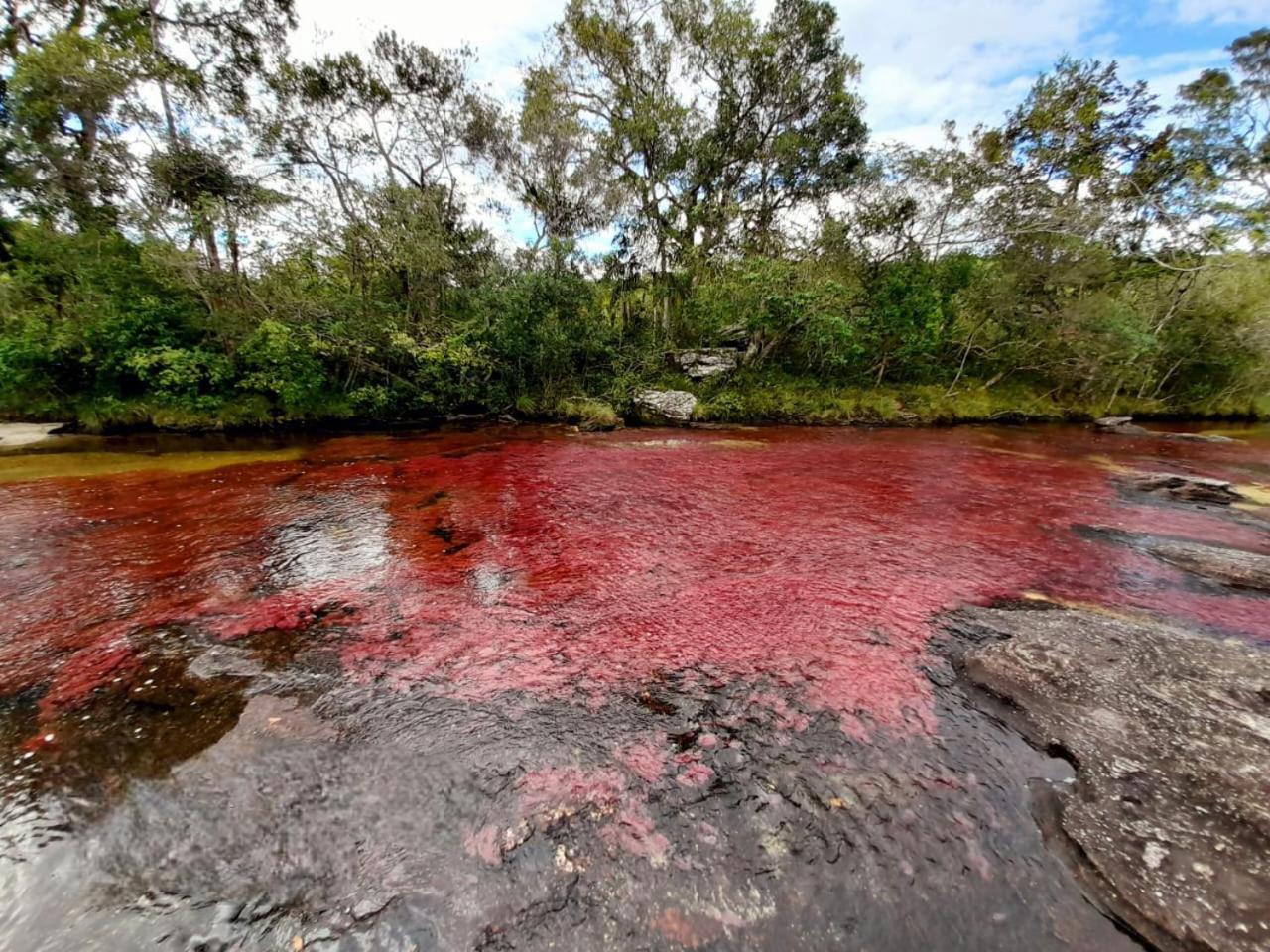 Hotel Ecologico Makalombia La Macarena Esterno foto