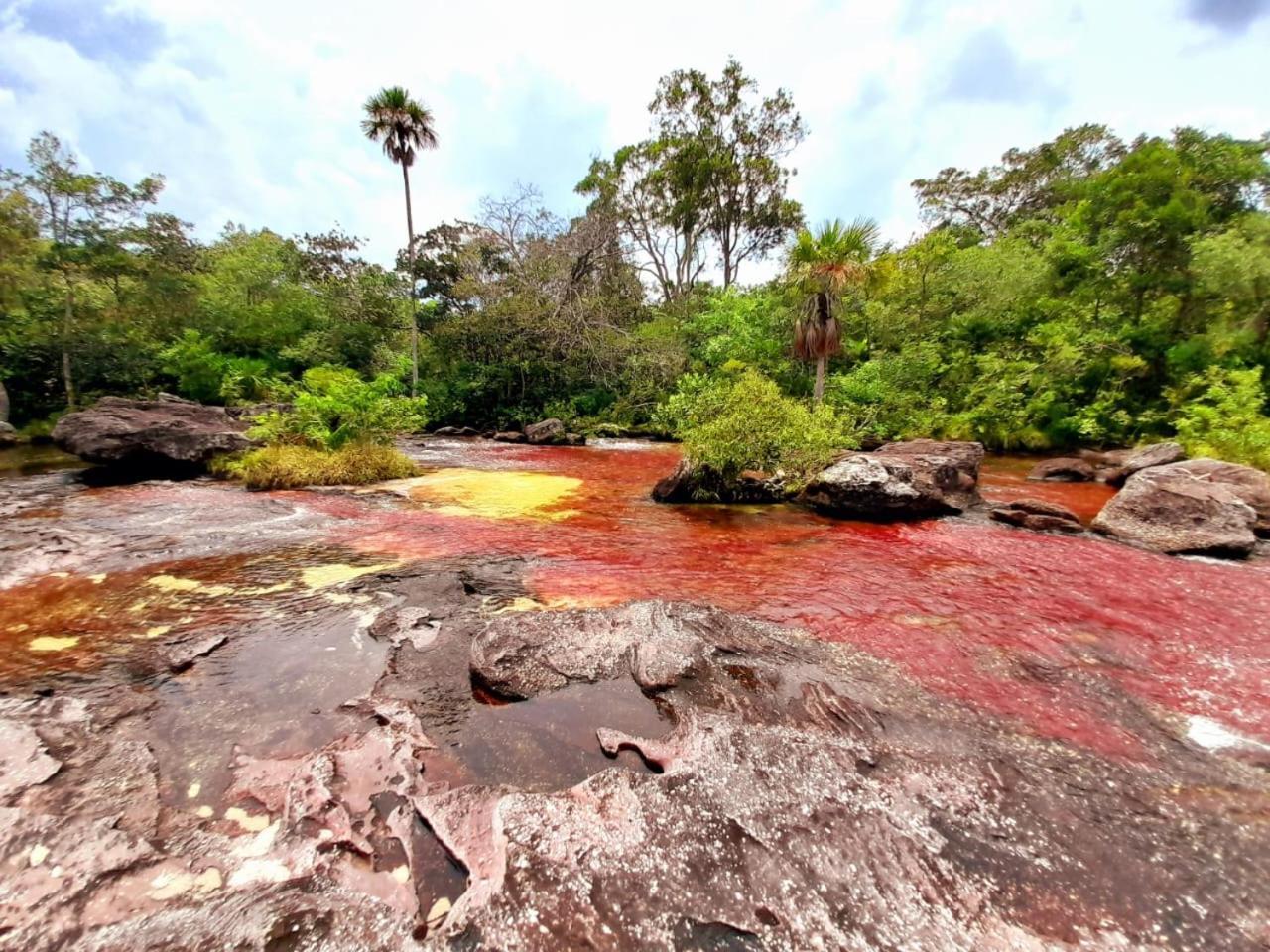 Hotel Ecologico Makalombia La Macarena Esterno foto