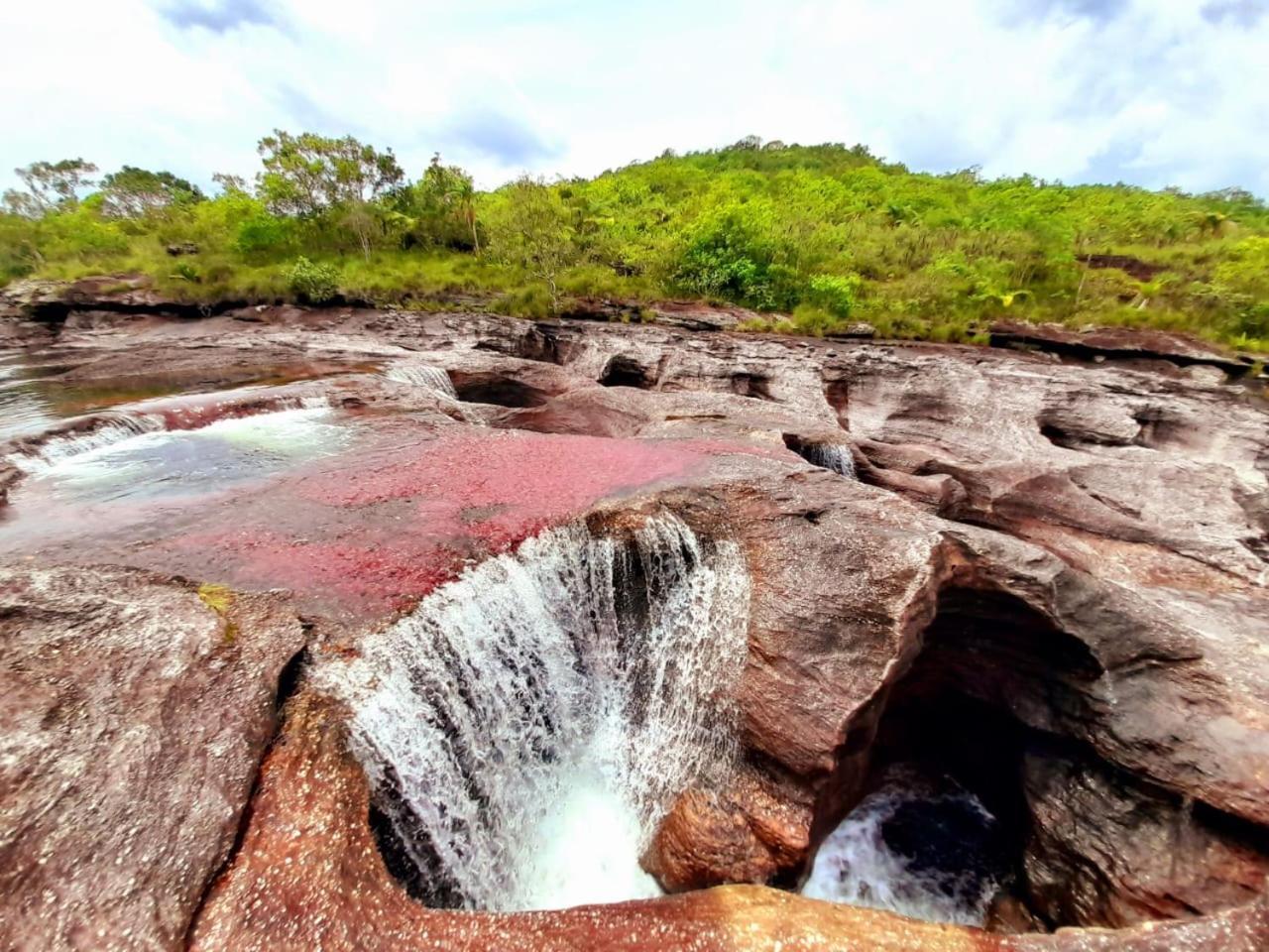 Hotel Ecologico Makalombia La Macarena Esterno foto