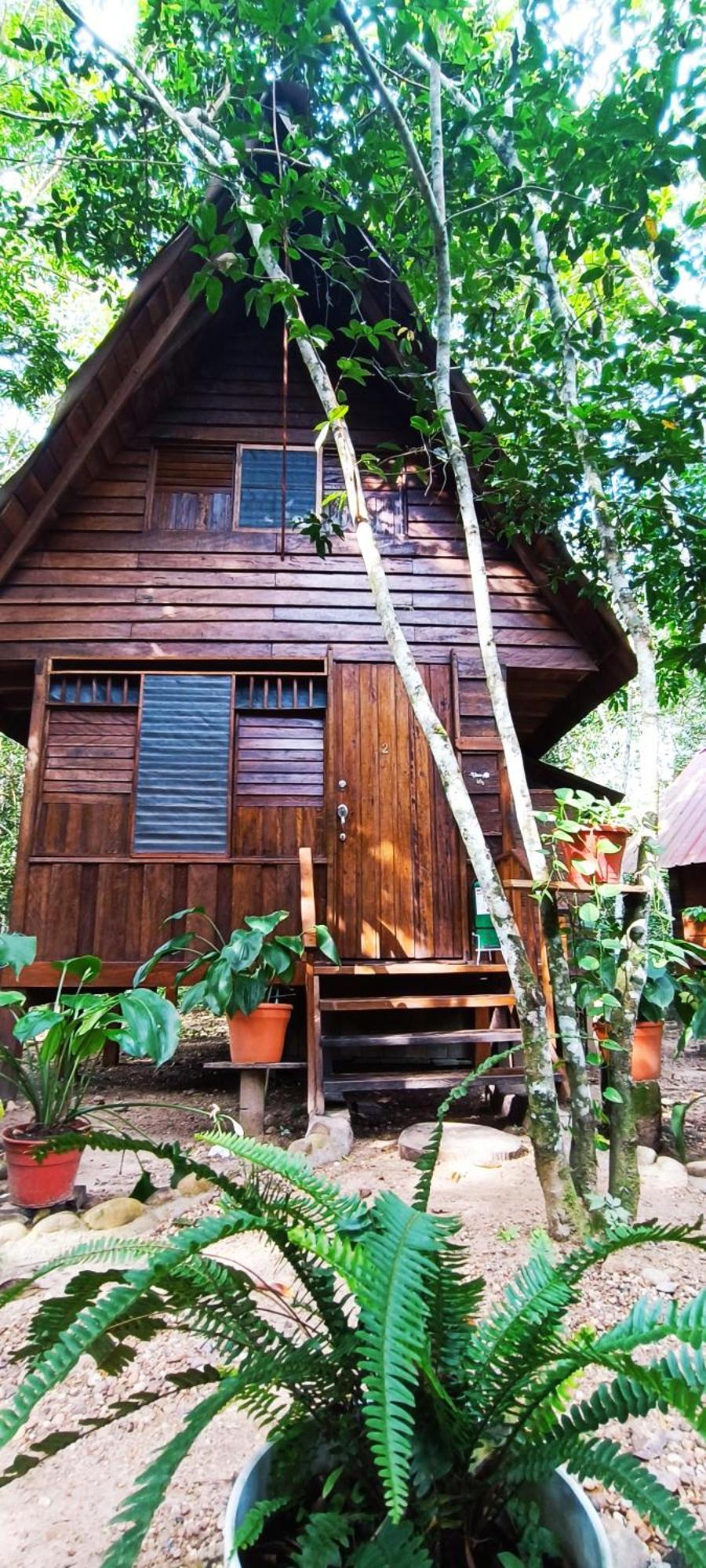 Hotel Ecologico Makalombia La Macarena Esterno foto